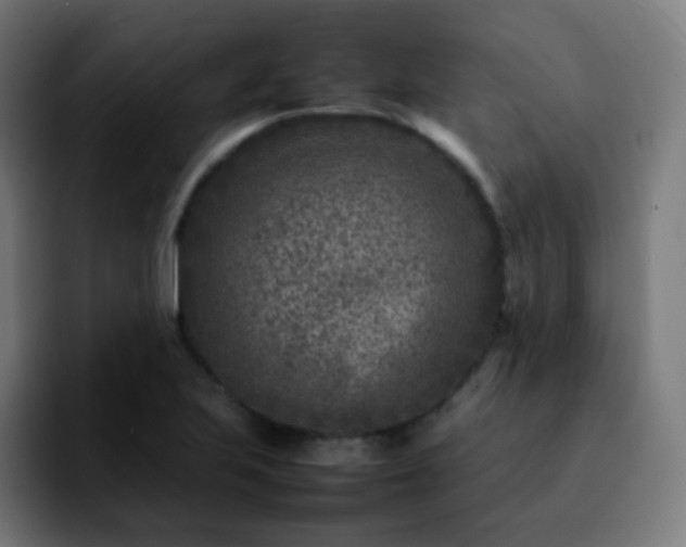 X0000092231223200709211019
