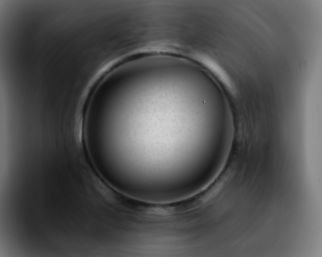 X0000092231224200709211019