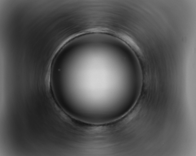 X0000092231228200709211020