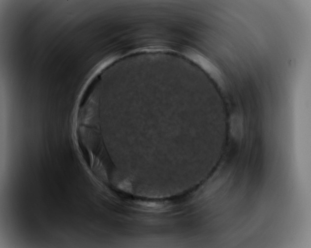 X0000092231229200709211020
