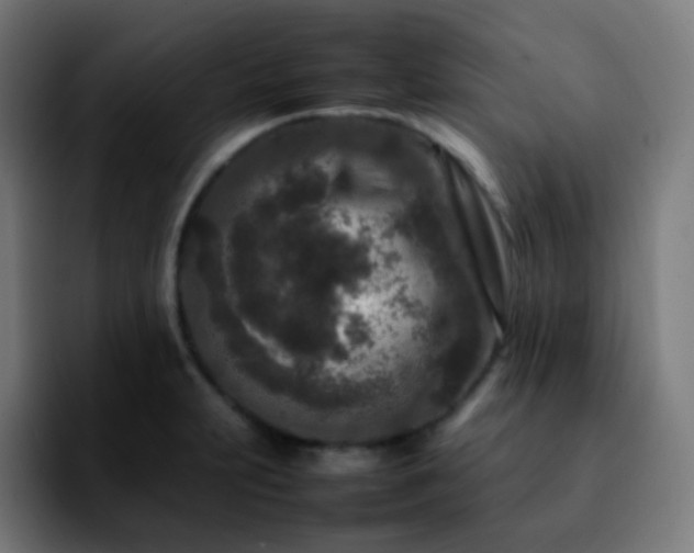 X0000092231231200709211020