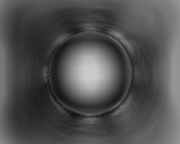 X0000092231233200709211020