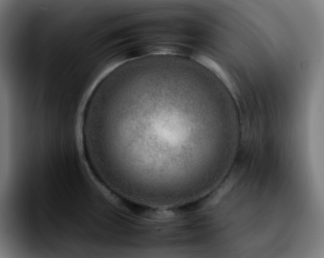 X0000092231235200709211020