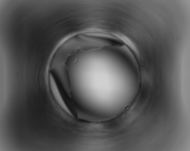 X0000092231238200709211020