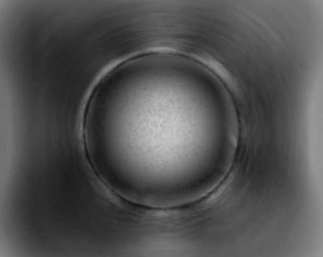 X0000092231240200709211020