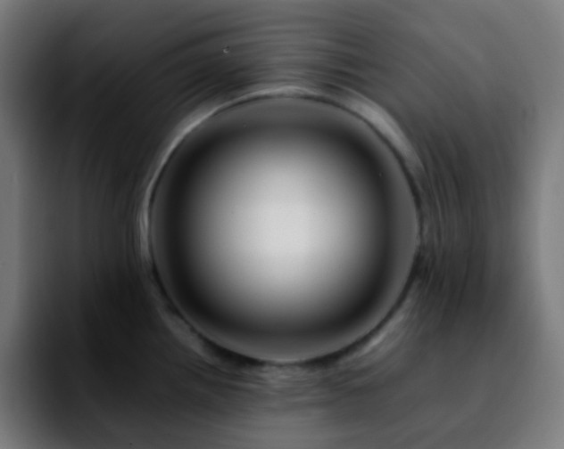 X0000092231242200709211020