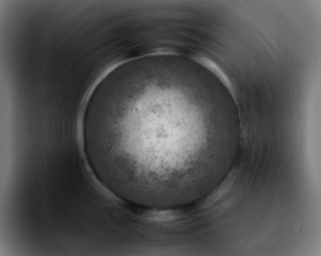 X0000092231243200709211020