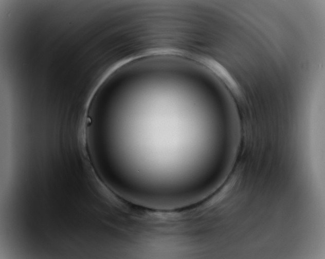 X0000092231244200709211020