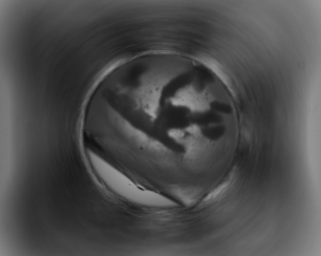 X0000092231245200709211020