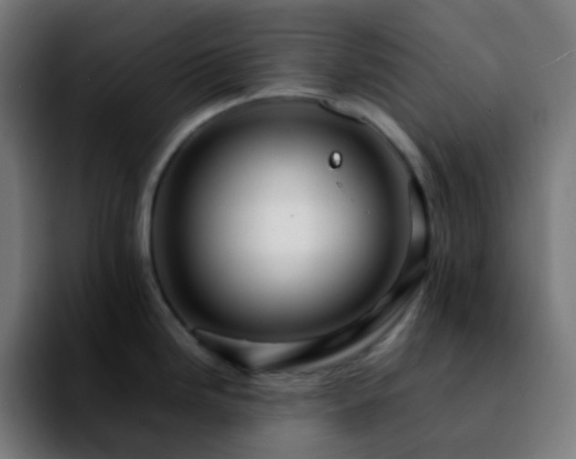 X0000092231246200709211020