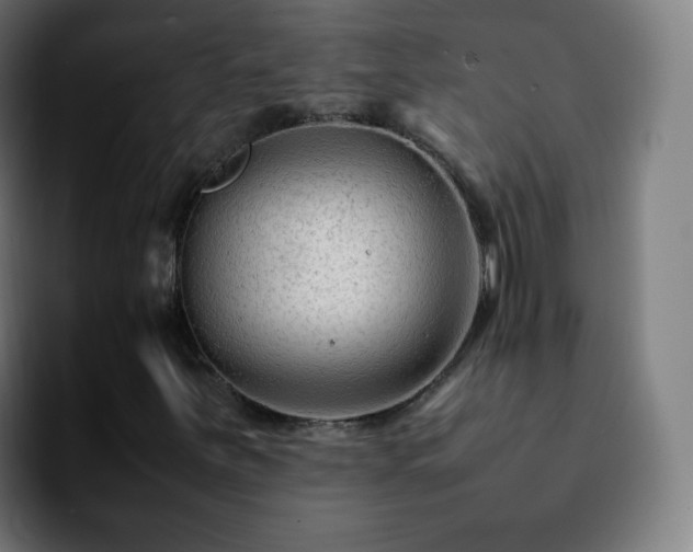X0000092231251200709211019