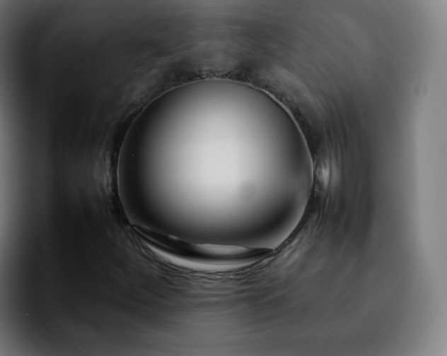 X0000092231252200709211019