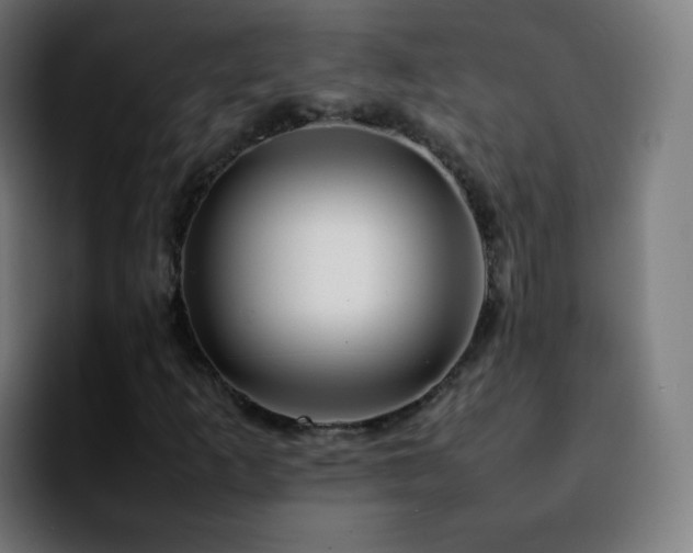 X0000092231253200709211019