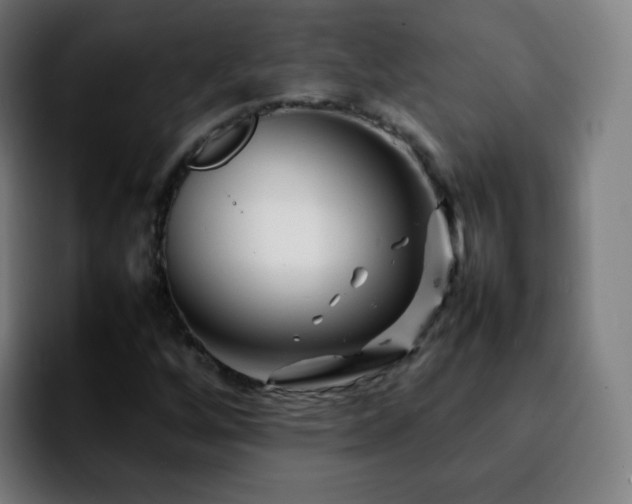 X0000092231256200709211019