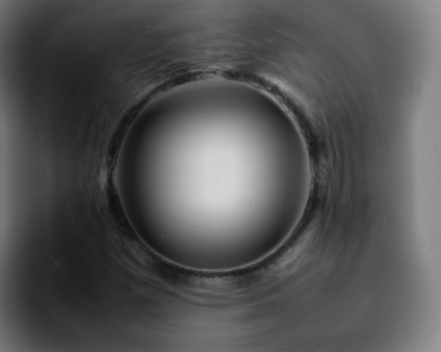 X0000092231257200709211019
