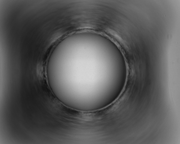 X0000092231258200709211019
