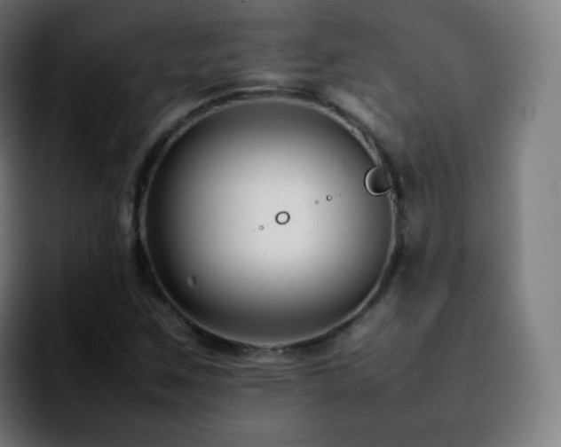 X0000092231259200709211019