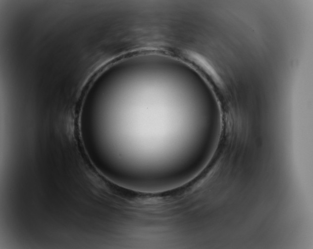 X0000092231260200709211019