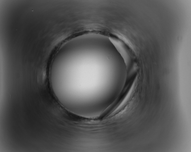 X0000092231261200709211019