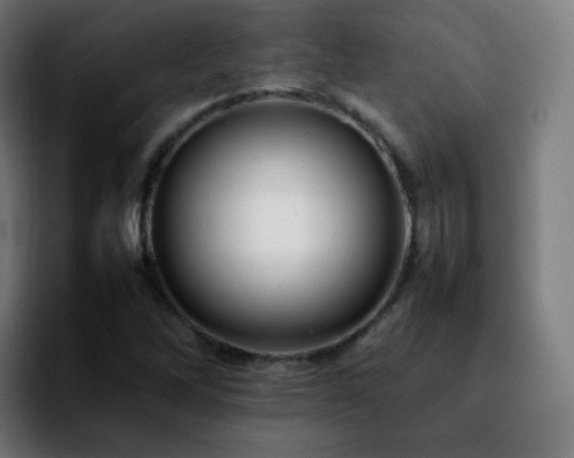 X0000092231262200709211019