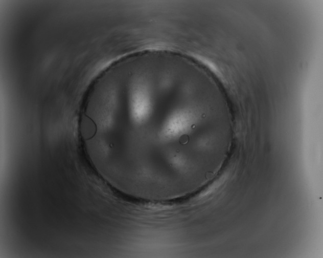 X0000092231263200709211019