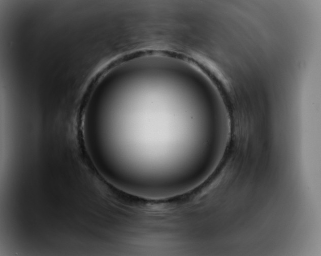 X0000092231264200709211019