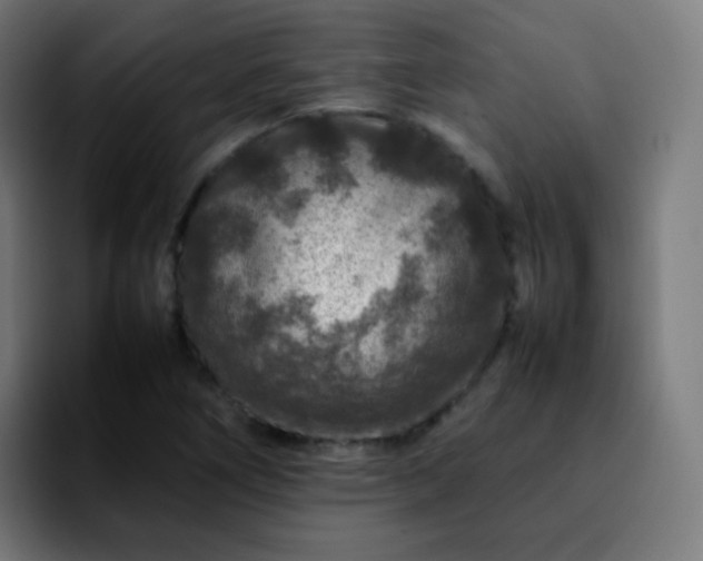 X0000092231266200709211019