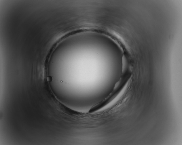 X0000092231267200709211019