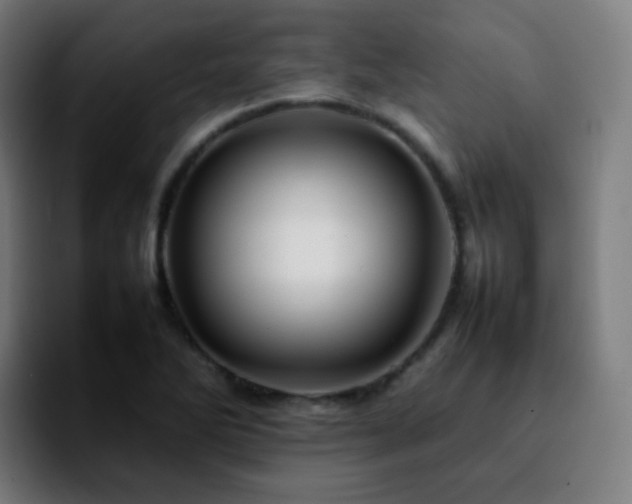 X0000092231270200709211019