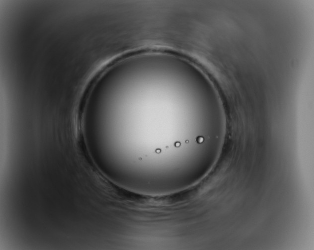 X0000092231271200709211019