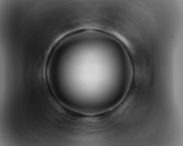 X0000092231272200709211019