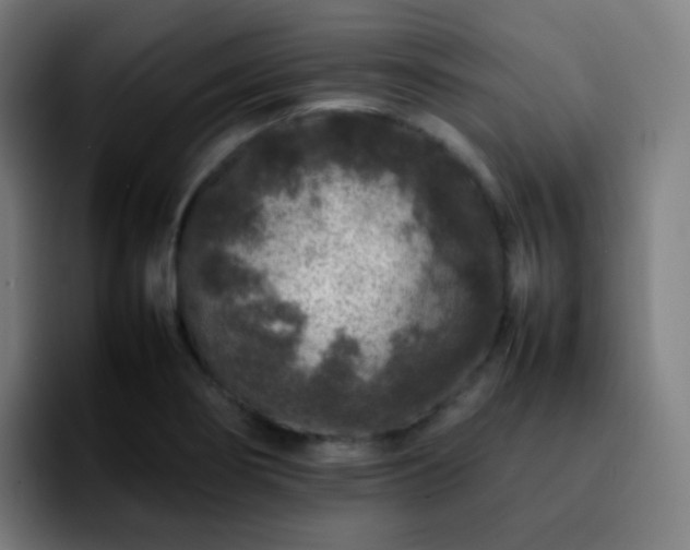 X0000092231274200709211019