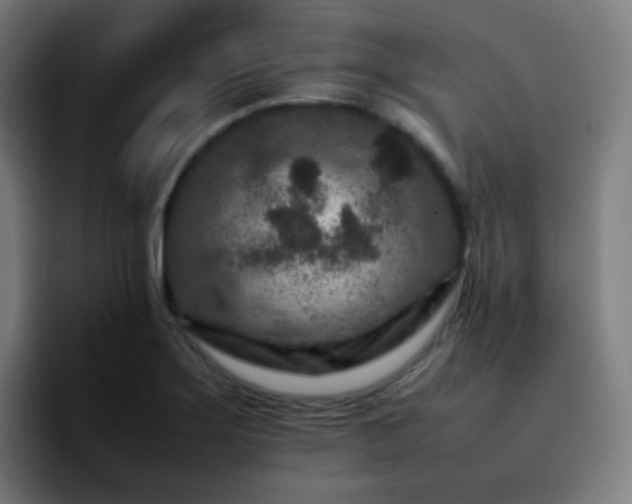 X0000092231275200709211019