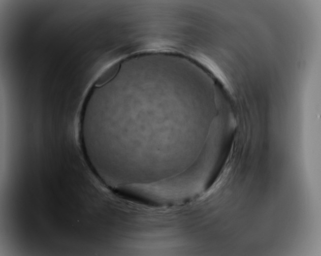 X0000092231277200709211019