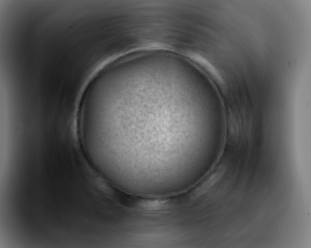 X0000092231278200709211019