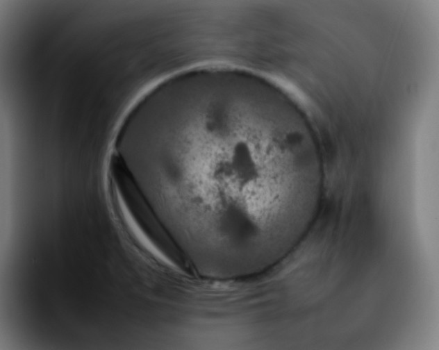 X0000092231279200709211019