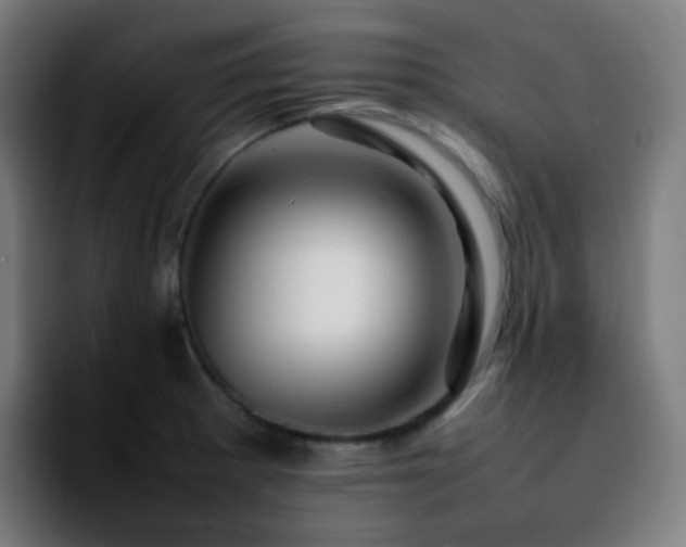 X0000092231281200709211019