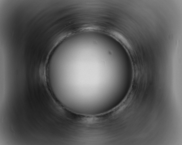 X0000092231282200709211019