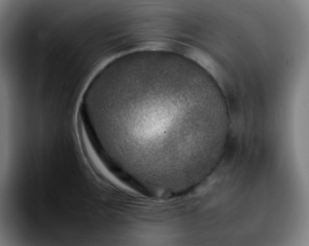 X0000092231283200709211019