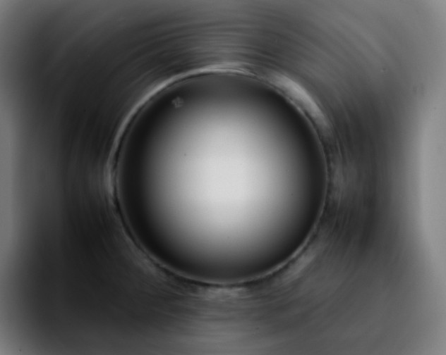 X0000092231284200709211019