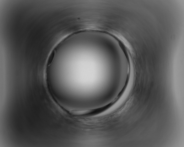 X0000092231285200709211019