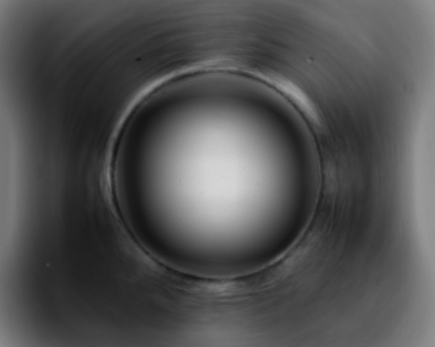 X0000092231288200709211019