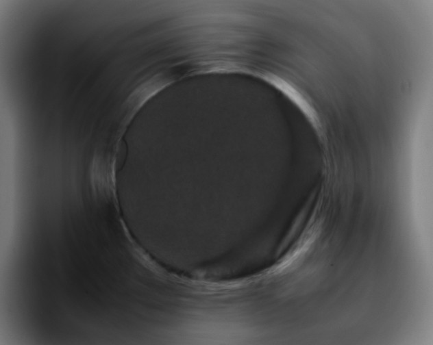 X0000092231289200709211019
