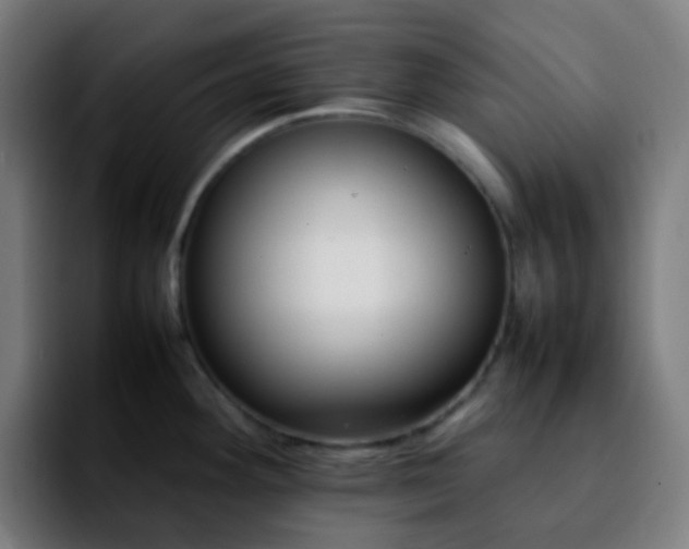 X0000092231292200709211019
