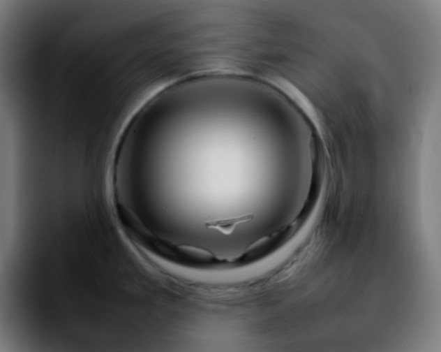 X0000092231293200709211019