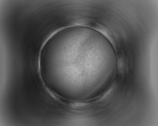 X0000092231294200709211019