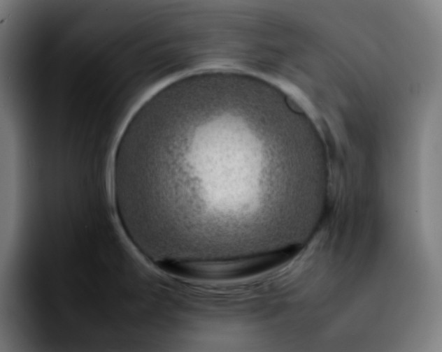 X0000092231295200709211019