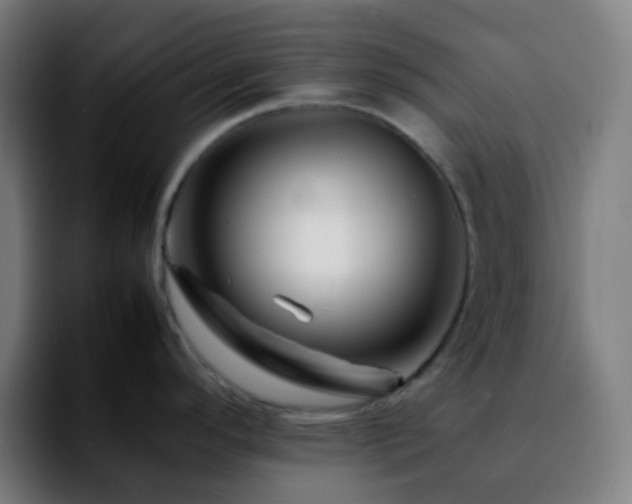 X0000092231296200709211019