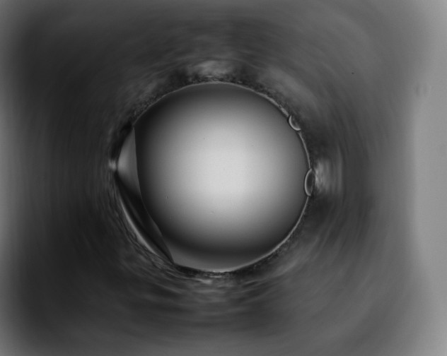 X0000092231299200709211018