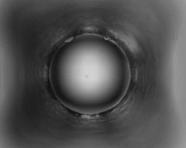 X0000092231301200709211018